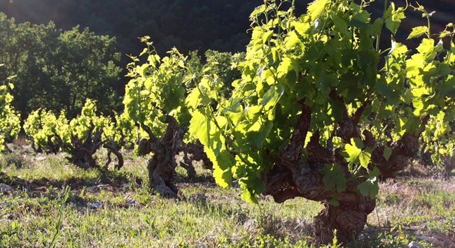 src=http___article-picture src=http___article-picture